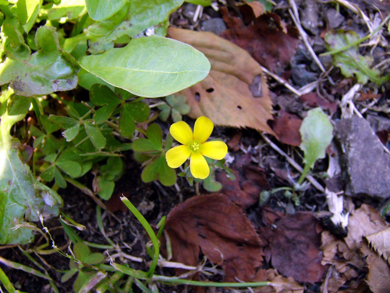 Nature 10