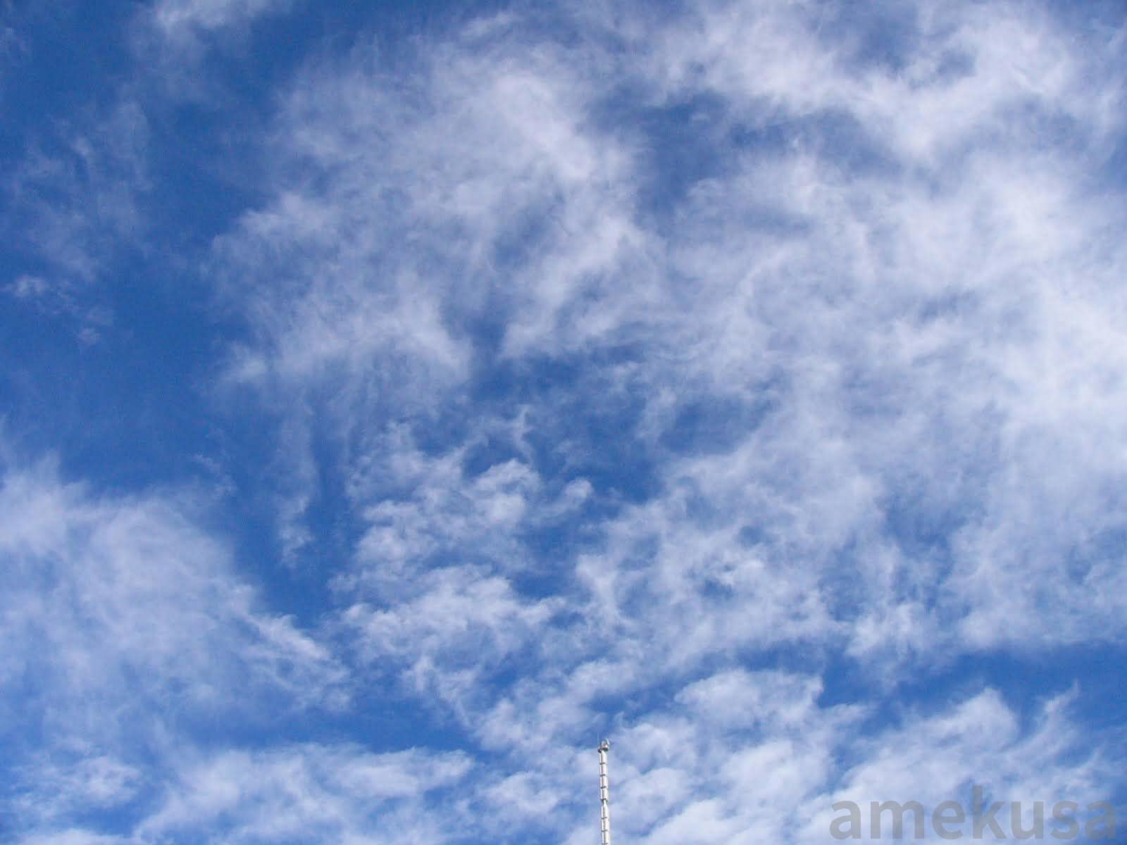 青空に広がる白い雲