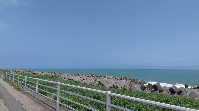 海岸沿いの遊歩道とテトラポッド
