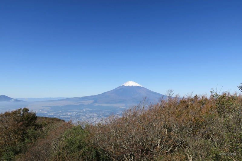 青空と木々の向こうに聳える富士山