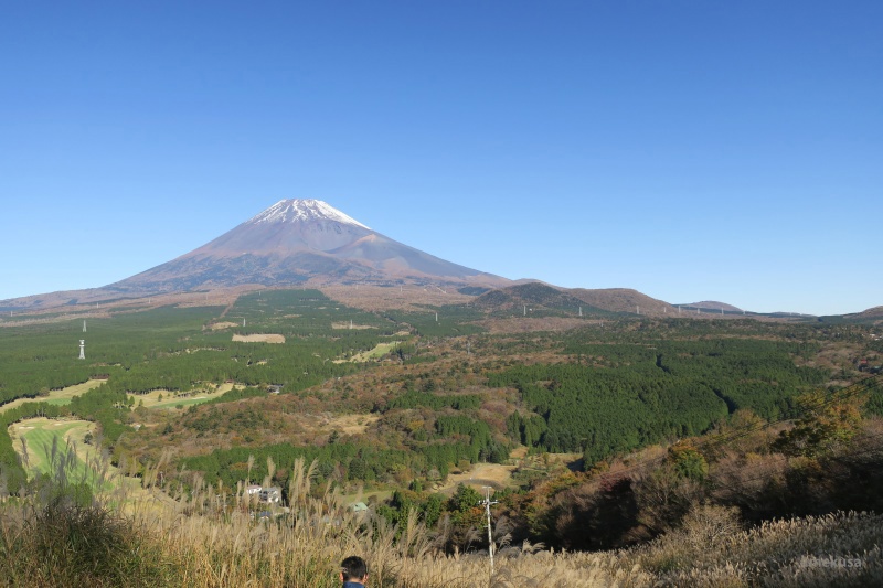 ススキの草原越しに望む雄大な富士山